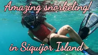 The best snorkeling in Siquijor Island | Tubod Marine Sanctuary|