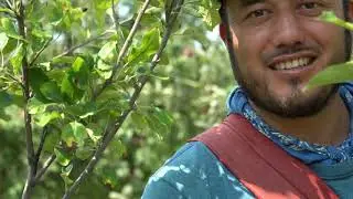 Nourishing Our Community: Nichols Farm and Orchard