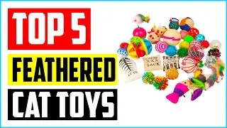 Top 5 Best Feathered Cat Toys of 2022 Review