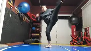 WTD Rear Hook Kick to Arrow Kick sequential