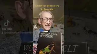 DO YOU LIKE THESE WONDERFUL BEETLES? BEETLES ARE SO AWESOME INSECTS! ENTOMOLOGY SCIENCE.
