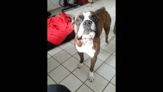20120822 084513