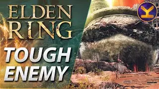 Elden Ring - Tough Enemy - 3 Knights of the Great Jar (Giant Pot) - Caelid