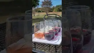 Toast the end of Virginia Wine Month at Chatham Vineyards.