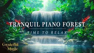 Piano The Best Timeless Music | 3 Hours of Beautiful Calm for the Soul