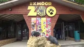 Exmoor Zoo, September 2018