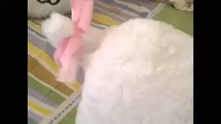kaomoji