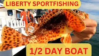 How to 1/2 Day Sportfishing Out Of H & M Landing San Diego On The Liberty Sculpin, Sand Bass, Calico