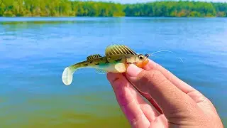 Fishing TINY Swimbaits for TOUGH Late Summer Bass (Megabass Dark Sleeper)