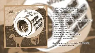 All These Wasted Nuts - No Gods, No Masters, Just Cats! [Jozi Folk Punk, Full Album]
