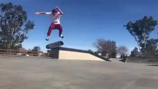 Best videos skatebording - Instagram #1 | Insmag Skate