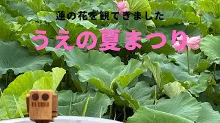 『うえの夏まつり』上野不忍の池に蓮の花を観に行きました#うえの夏まつり#不忍の池#散歩 