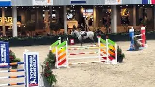 Wadro&rsquo;s Maggie May by Zirocco blue x amaretto winning both medium tour QF Iich Groningen 