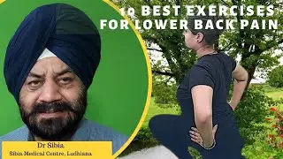 10 best exercises for lower back pain | Sibia Medical Centre
