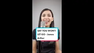 SAY YOU WON'T LET GO - James Arthur (Platinum cover)