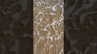poole beach (uk)