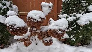Relaxing First Snow Montage Tour 🌳❄️🌲// Suburban Oasis