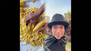 This Video is 99% Optimized for the Algorithm. Help me reach 100%.