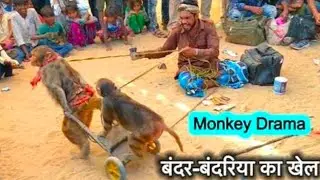 #monkey drama #badaridance