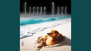 Peaceful Ocean Waves Music for My Dog