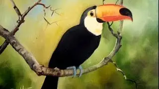 COMO PINTAR UM TUCANO