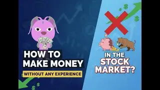 How to make money without any experience in the stock market?