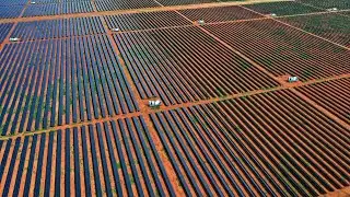 Northern Territory scraps 50 per cent renewables energy target