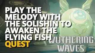 Play the melody with the Solishin to awaken the flying fish Wuthering Waves
