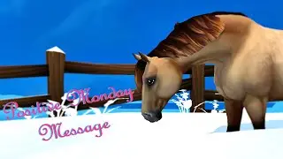 Positive Monday Message #383 ~ [SSO] Star Stable Online