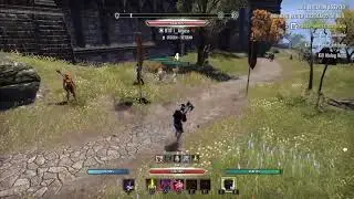 ESO | Wayrest Duels with 200cp