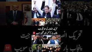 PTI Sweeps Punjab Bar Council Elections #pti #ptiofficial #imrankhan #breakingnews #news #new #short