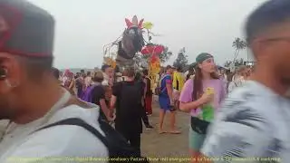 Arambol beach Carnival GOA 2022! Save the Bees 🐝