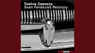 Swan Fendered Mercury (North Street West Dub)
