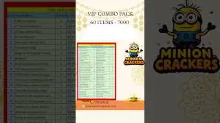 60 ITEMS - VI COMBO PACK