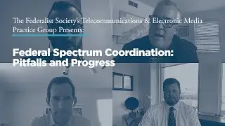 Federal Spectrum Coordination: Pitfalls and Progress