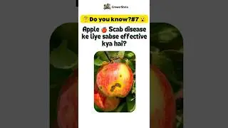 Scab Treatment for Apple 🍎#shorts #growershala