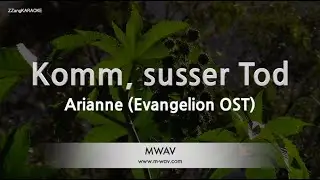Arianne-Komm, susser Tod (Evangelion OST) (MR/Instrumental) [ZZang KARAOKE]