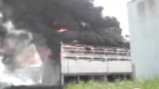 MOV01050
