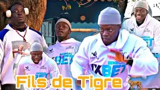 Séance d’entraînement de Fils de Tigre avec Serigne Ndiaye 2 à l’écurie de Fass 