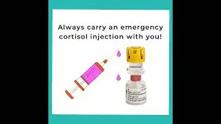 Factors that impact Cortisol