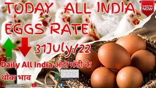 31July2022 All india selling/loading Egg Rates #mandibhav  #rate  #today #egg