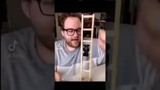 Cat falls down ladder meme