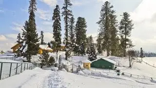 Katra to patnitop in just rupees 350/- return fare