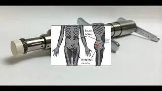 Female Chiropractor In Boston Massachusetts