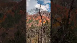 The Fall Colors in the Eastern Tibet 藏东秋色 #tibet