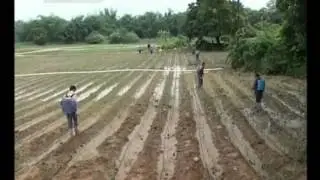 China land research: Slight increase in farmland, little influence on policy