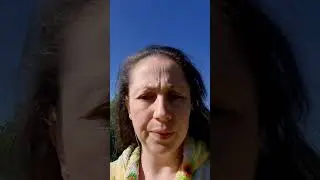 ремонтантная #клубника #дача