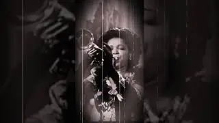 Jazz Trumpet Player and Singer Female  #trumpetplayer #jazz #shortsvideo