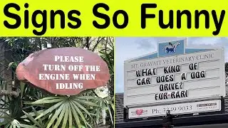 Signs So Funny You Can’t Believe They’re Real – Ultimate Laugh Challenge! || Happy Panda