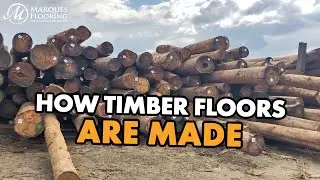 BTS: From Forest to Floor, how Timber Flooring is made!